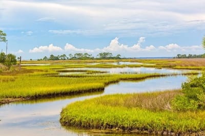 Destinations Evergladesjpg