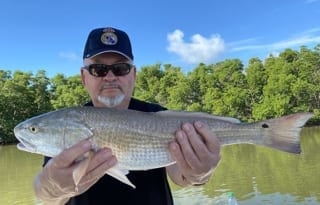 A big fish caught near Everglades City, Florida